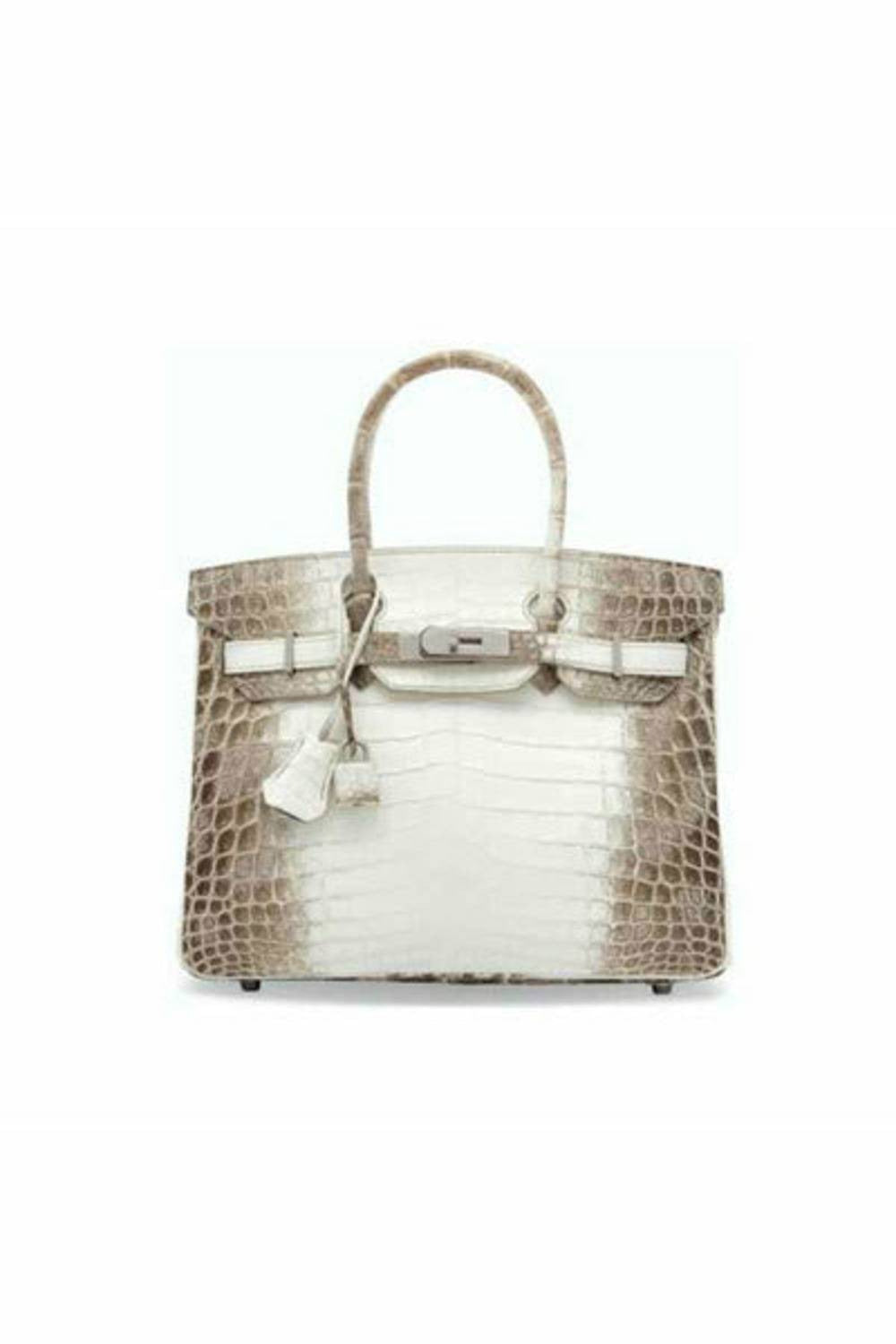 hermes birkin 25 himalayan white niloticus crocodile palladium hardware-DUBAILUXURYWATCH